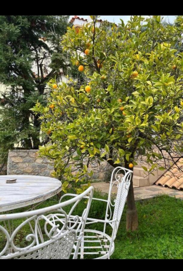 Chalkís Villa Sul Mare מראה חיצוני תמונה